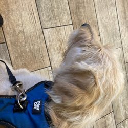 Penny Paws Animal Hospital - Richland Hills - our puppy