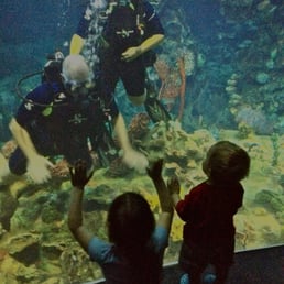 Looking out from the tank at our niece and nephew :)  Priceless!