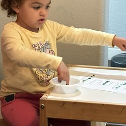 Erika's Daycare and Bilingual Preschool Program