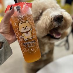 How cute is this Shibu inu themed boba tea spot
