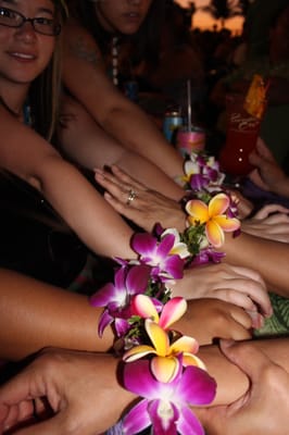 Paradise Cove Luau by null