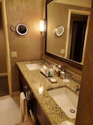 The St. Regis Houston by null