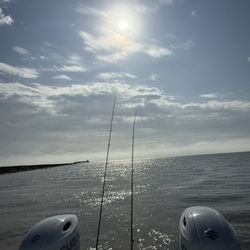 Just Cast Fishing Charters