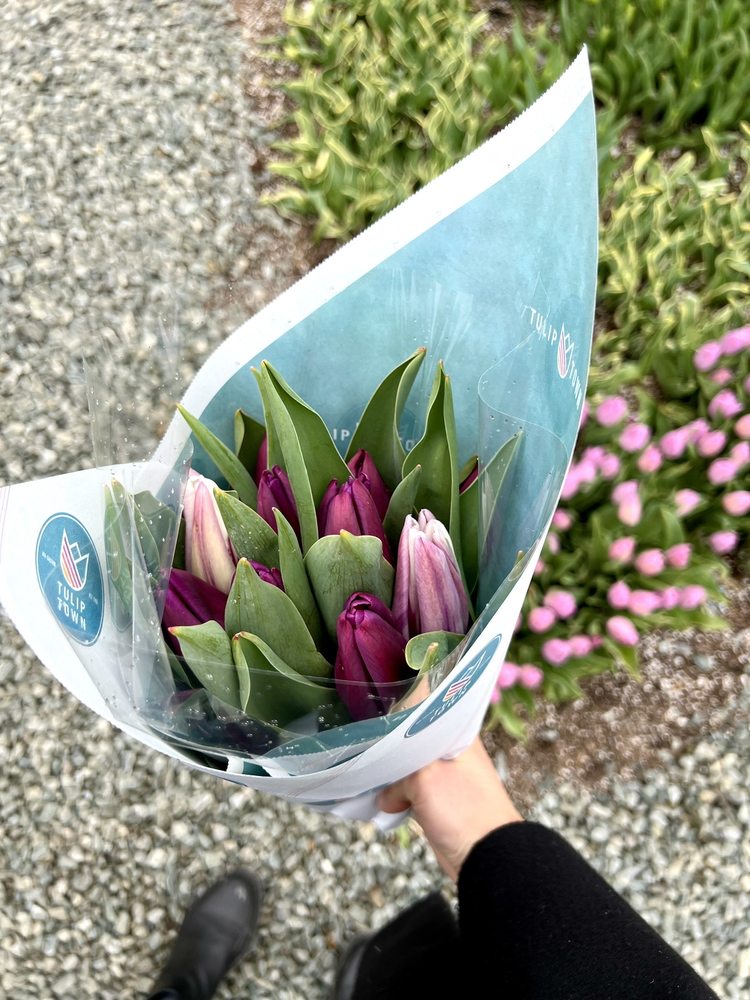 Skagit Valley Bulb Farm Image