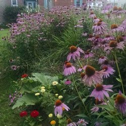 The Hummingbird Room - Our 1847 Historic Register manor