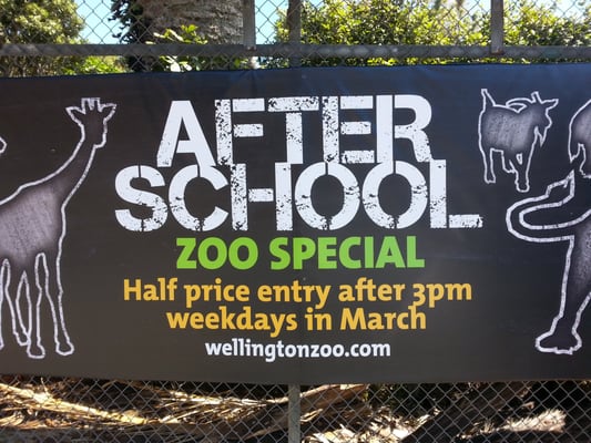 Wellington Zoo by null