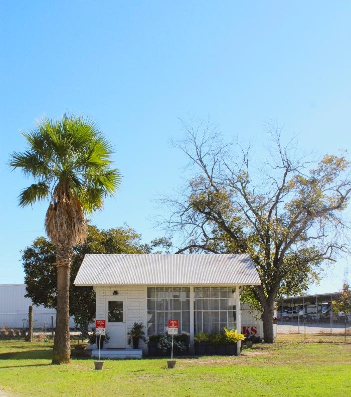 Pet's Choice Animal Hospital - pet boarding facility in Seguin, TX