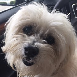 Heb Pharmacy - This is Butters!