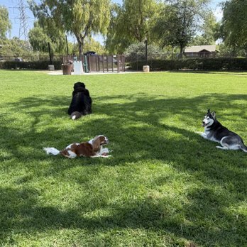 Wagsdale Dog Park - Pups enjoying the shade waiting for the next visitors to come in to the park. - Dog Parks Near Me - Ladera Ranch, California Wagsdale Dog Park - Pups enjoying the shade waiting for the next visitors to come in to the park. - Dog Parks Near Me - Ladera Ranch, California
