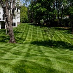 The People’s Landscaper & Snow Removal