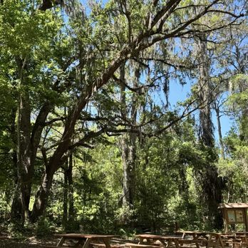 1. Ichetucknee Springs State Park