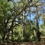 Photo of Ichetucknee Springs State Park