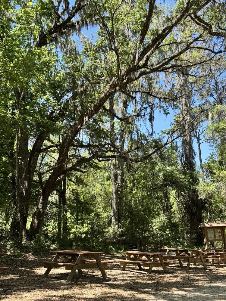 Ichetucknee Springs State Park Image