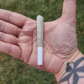 Dank Poet Dispensary - Preroll, Hush $ - Cannabis Dispensaries Near Me - Washington, New Jersey Dank Poet Dispensary - Preroll, Hush $ - Cannabis Dispensaries Near Me - Washington, New Jersey