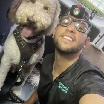 Royal Touch Pet Dental - Auggie and Royal Touch technician Arthur. - Holistic Animal Care Near Me