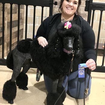dogs by janet - "Birdie" earning his Canine Good Citizen Certification. - Pet Training Near Me - Belleville, Michigan dogs by janet - "Birdie" earning his Canine Good Citizen Certification. - Pet Training Near Me - Belleville, Michigan