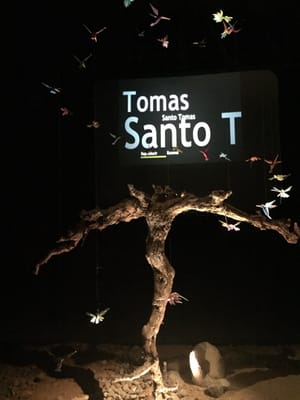 Hotel Santo Tomás by null