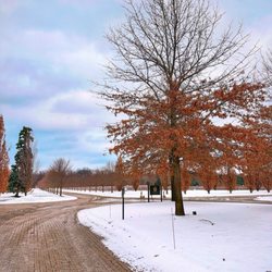 Two Sisters Vineyards