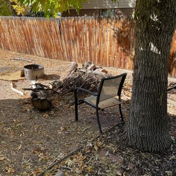 Manny’s Tree Services - Before - Tree Services Near Me Manny’s Tree Services - Before - Tree Services Near Me