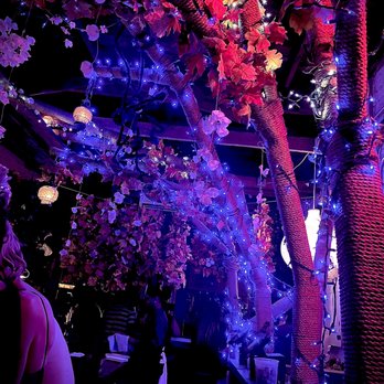 Toki Underground - Ramen Near Me - Washington, DC, District of Columbia