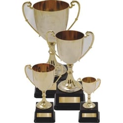 Awards and Trophies