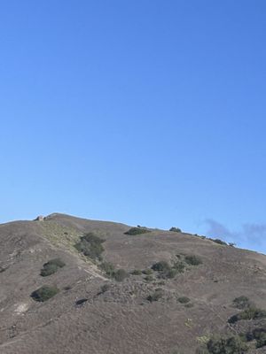 Catalina Island Conservancy Trailhead by null