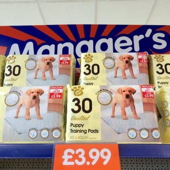 B&M Store - Puppy training pads - Discount Store Near Me - County Armagh, ARM