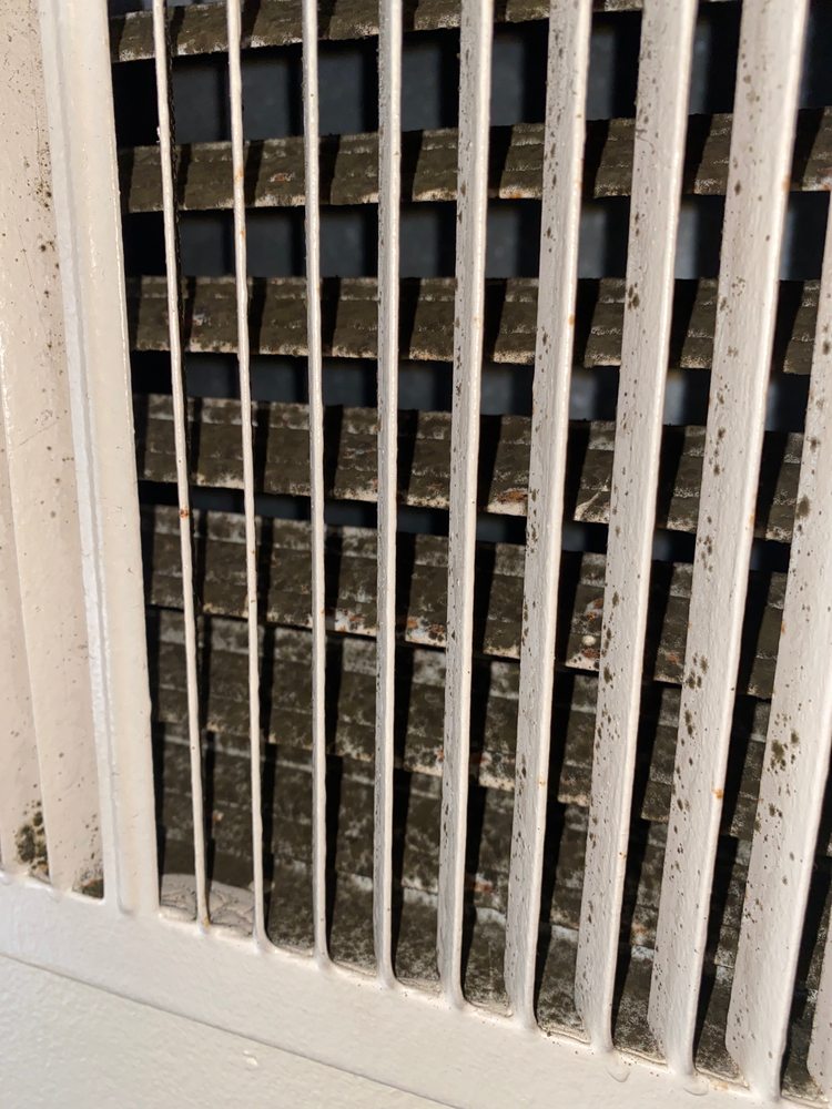 QUALITY HILL APARTMENTS Updated October 2024 60 Photos & 29 Reviews