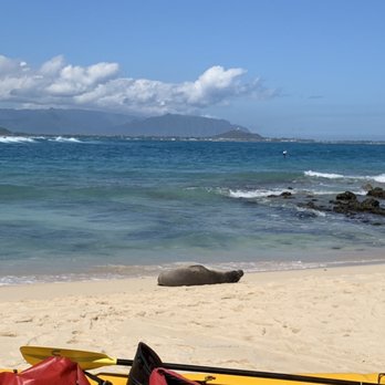 Lanikai Beach - Kayak out to Mokulua Island (Access restricted!) - Beaches Near Me - Kailua, Hawaii Lanikai Beach - Kayak out to Mokulua Island (Access restricted!) - Beaches Near Me - Kailua, Hawaii