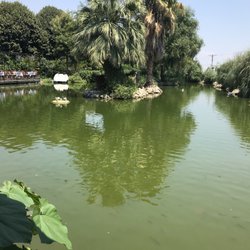 Gönül Hanı Restaurant - The view- don't feed the fish!