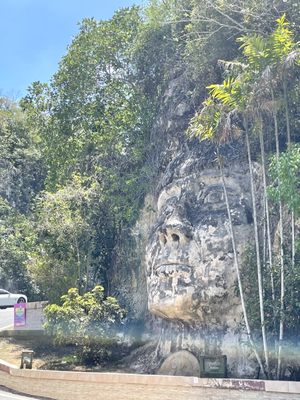 Cara del Indio by null