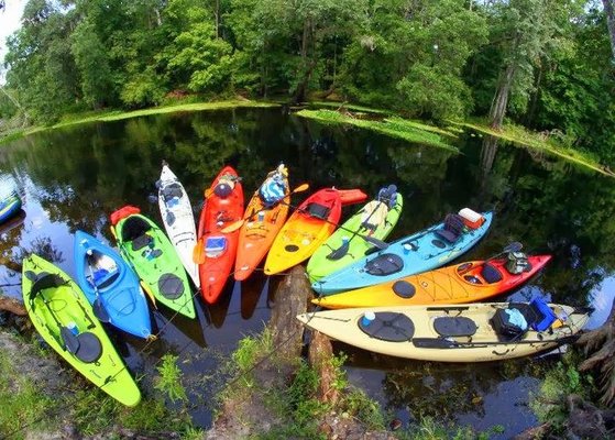 Happy Paddler Kayak Tours & EcoVentures by null