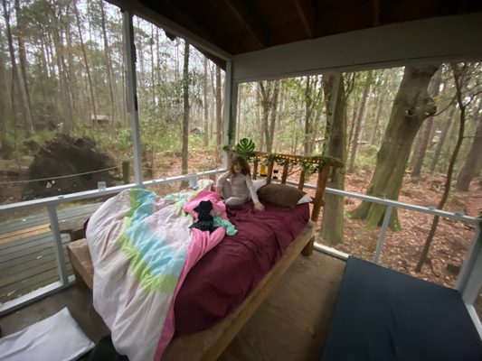 Hostel In the Forest by null