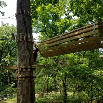 Treetop✳︎ Seeking adventure in the Philly treetops - 6abc Philadelphia