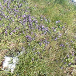 Osterspaziergang