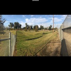 Waggin' Tails Dog Park - View from the far corner looking toward the entrance gate.