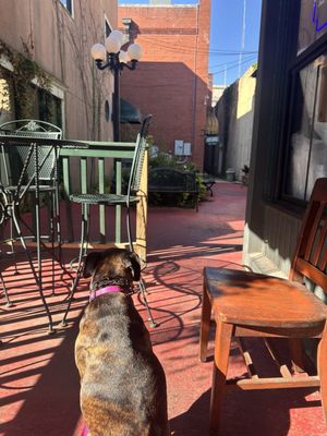 Off the Rail Cafe by null