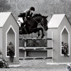 Flagstaff Equestrian Center - Flagstaff Arizonal quality horse care and training, specializing in Hunters, Jumpers and Equitation.