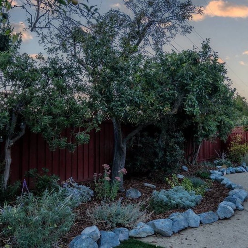 D & I Landscape - Backyard AFTER - Landscaping Near Me - San Jose, California
