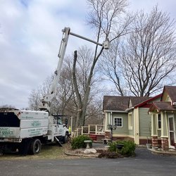 ASAP Tree and Crane Services