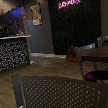 Luchador Micheladas & Botanas - Tacos Near Me - Cypress, Texas Luchador Micheladas & Botanas - Tacos Near Me - Cypress, Texas
