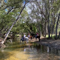 Prescott Horseback Riding