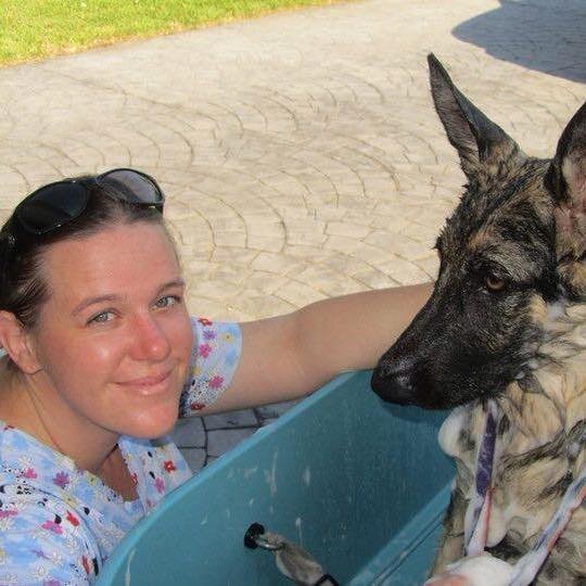 JENNIFER’S DRAMATIC PAWS Updated July 2024 Edgewater, Florida Pet