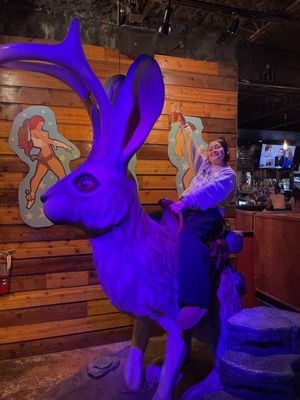 The Jackalope South Shore by null