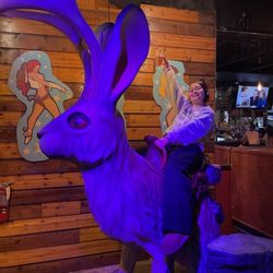 The Jackalope - South Shore - The great rabbit of the land of vodkalandia