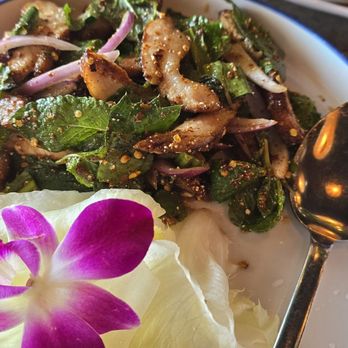 Thai Spice Express - Thai Near Me - Houston, Texas Thai Spice Express - Thai Near Me - Houston, Texas