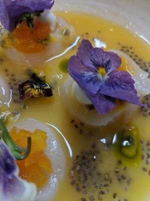 Kaiyo Cow Hollow by null