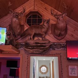 Big Sky Restaurant & Saloon