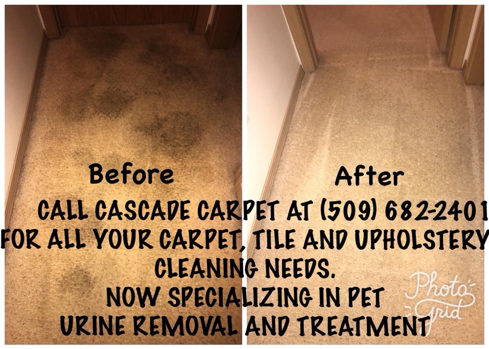 CASCADE CARPET CLEANING Carpet Cleaning Bridgeport, Washington