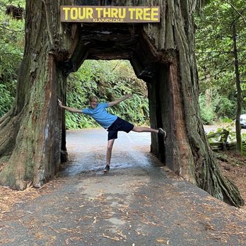 Tour Thru Tree - Local Flavor Near Me - Klamath, California